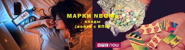 стафф Алзамай