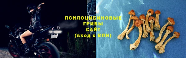 стафф Алзамай