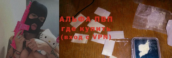 стафф Алзамай