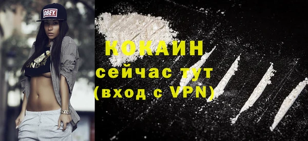 стафф Алзамай