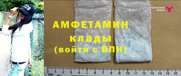 стафф Алзамай