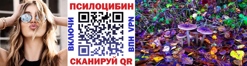 Псилоцибиновые грибы мицелий  Поронайск 